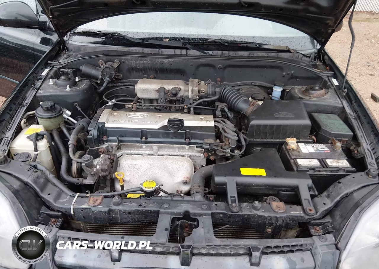 2005 Hyundai Accent Gls-Gt VIN:KMHCG35C55U337286 - 10