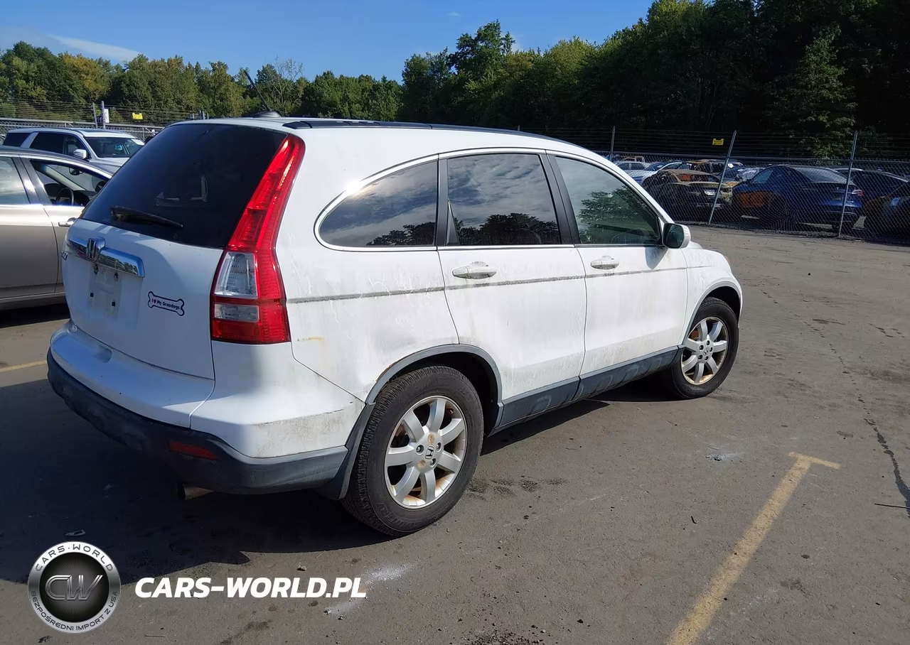 2007 Honda Cr-V Ex-L VIN:JHLRE48777C042386 - 4