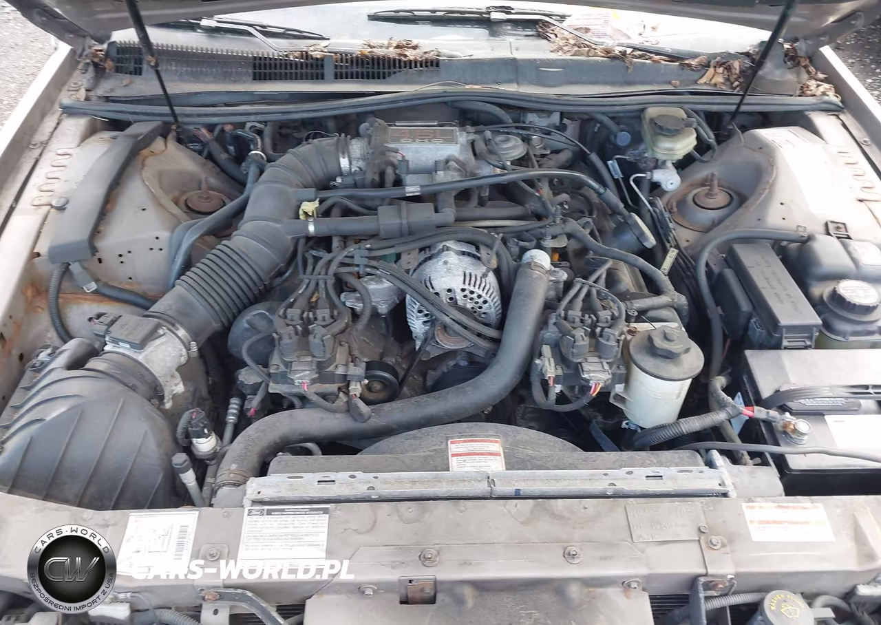 1997 Ford Thunderbird Lx VIN:1FALP62W5VH148706 - 10