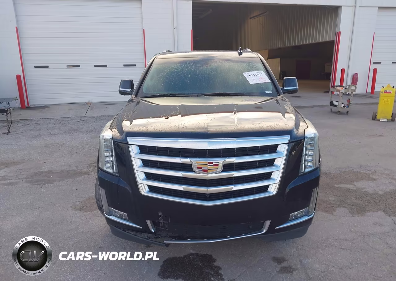 2019 Cadillac Escalade Esv Premium Luxury VIN:1GYS3JKJ9KR250373 - 12