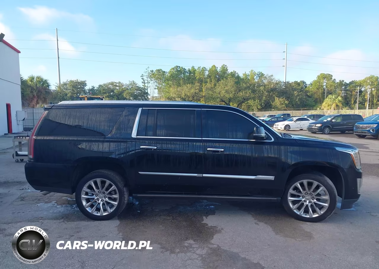 2019 Cadillac Escalade Esv Premium Luxury VIN:1GYS3JKJ9KR250373 - 13