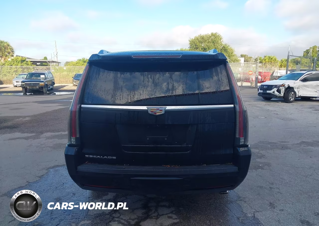 2019 Cadillac Escalade Esv Premium Luxury VIN:1GYS3JKJ9KR250373 - 16