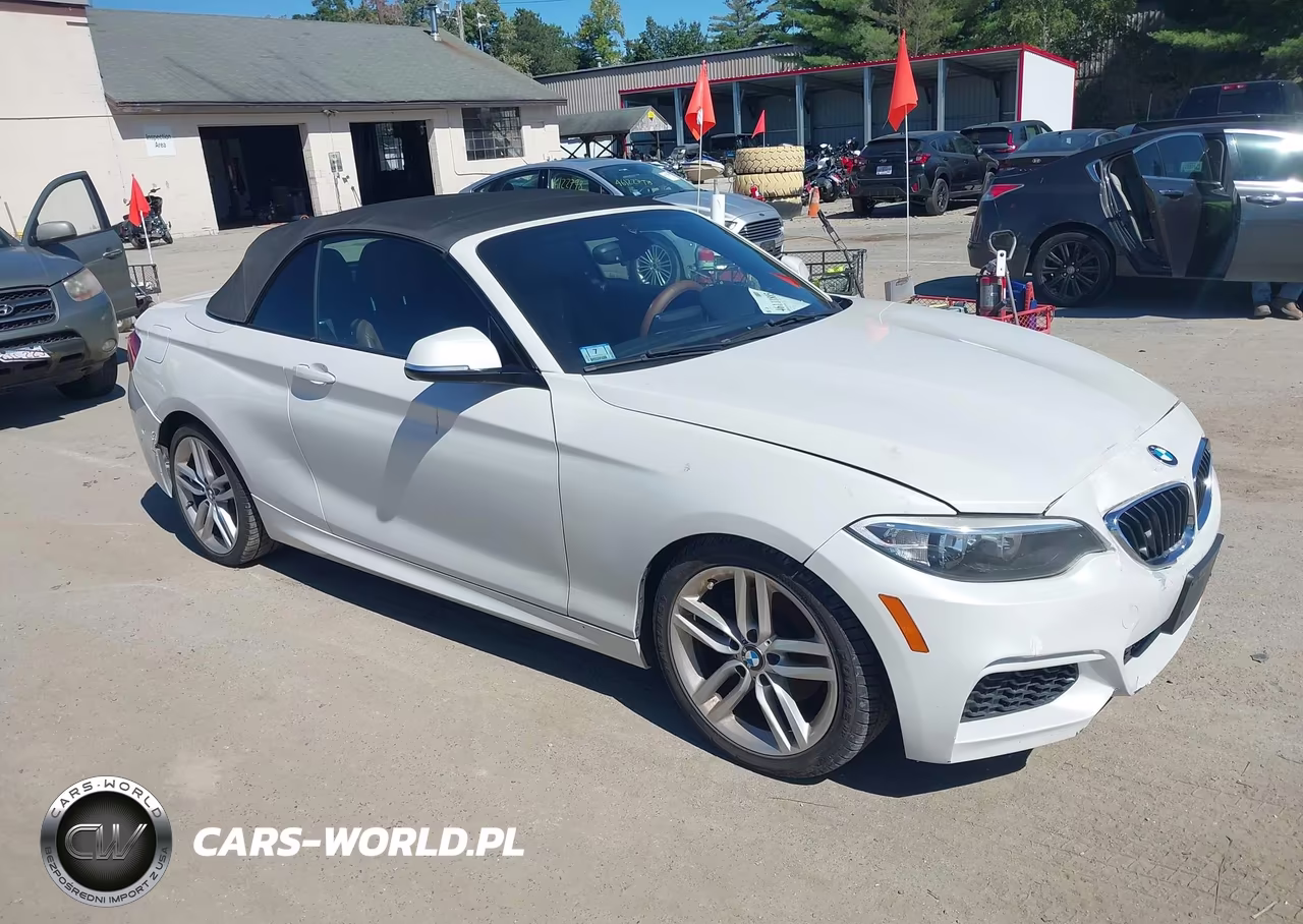 2016 BMW 228I VIN:WBA1K9C56GV322484 - 1