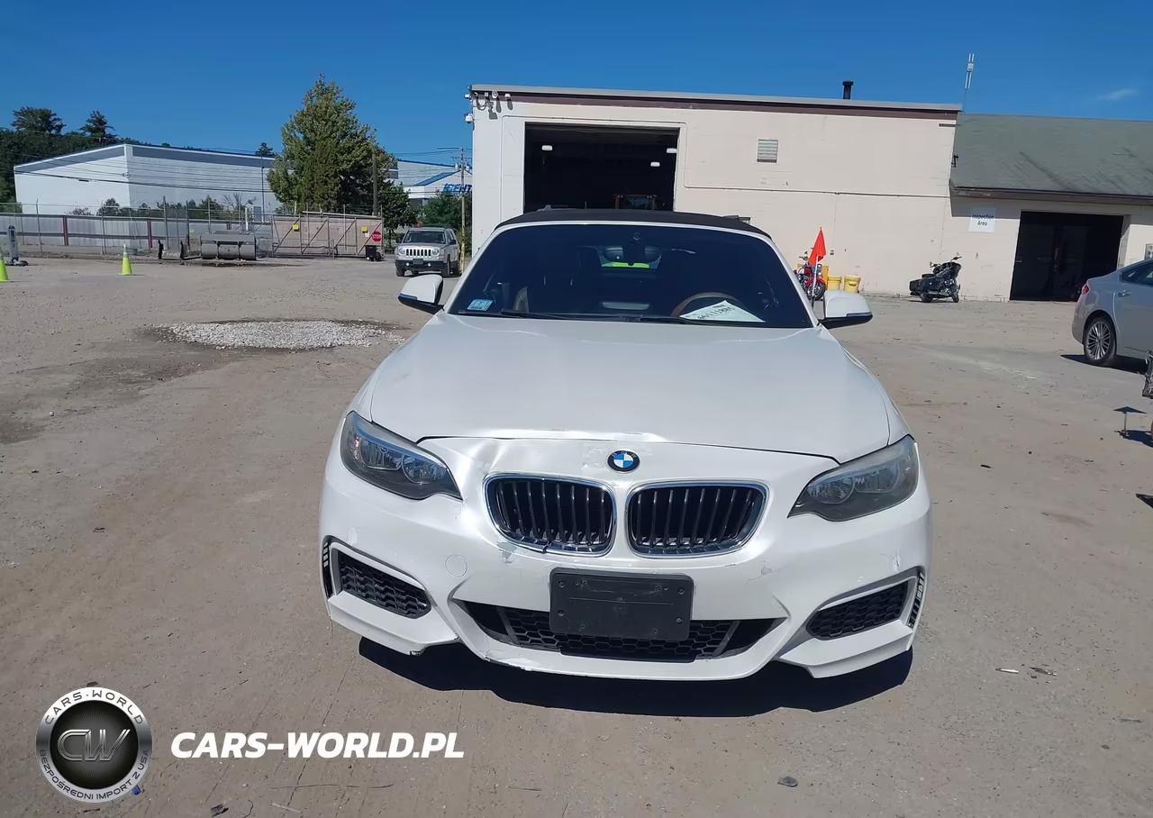2016 BMW 228I VIN:WBA1K9C56GV322484 - 10