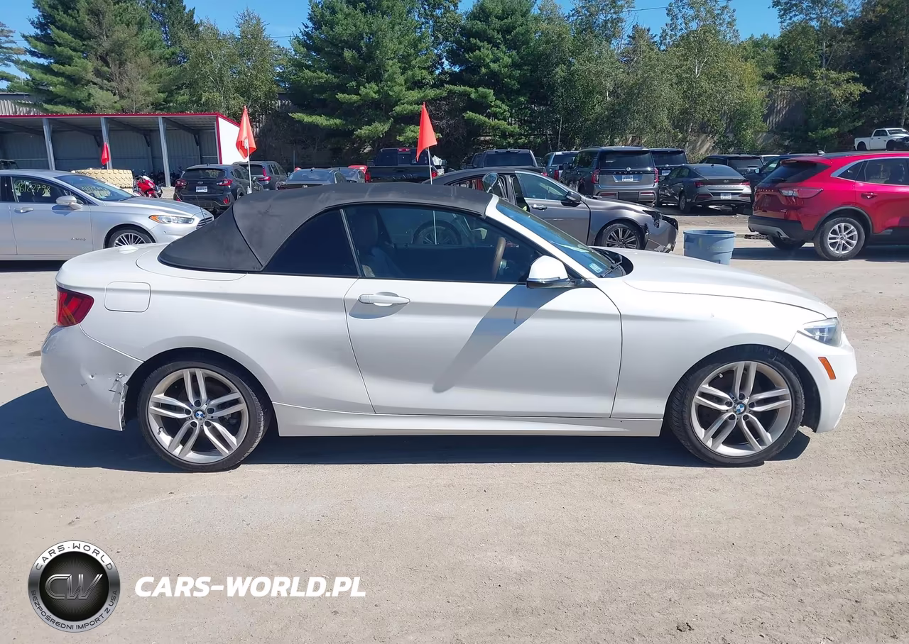 2016 BMW 228I VIN:WBA1K9C56GV322484 - 11