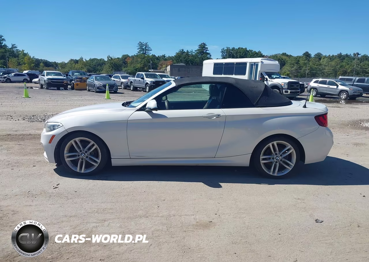 2016 BMW 228I VIN:WBA1K9C56GV322484 - 12