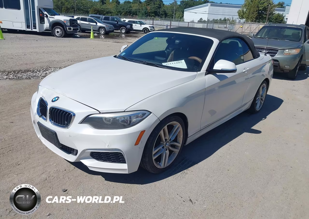 2016 BMW 228I VIN:WBA1K9C56GV322484 - 2