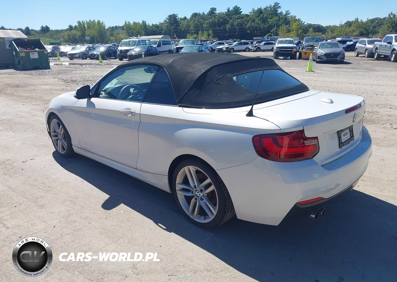2016 BMW 228I VIN:WBA1K9C56GV322484 - 3