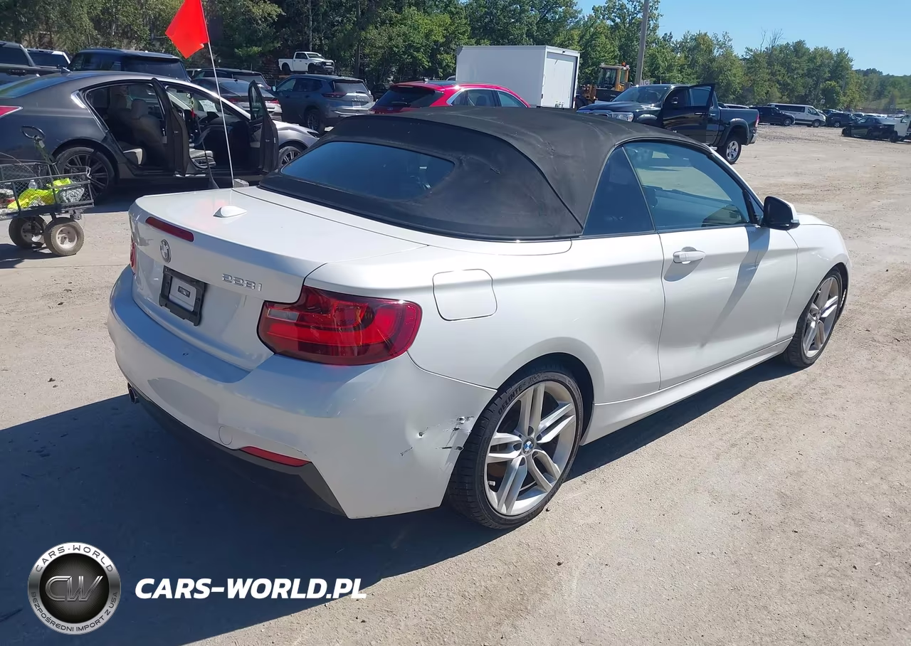2016 BMW 228I VIN:WBA1K9C56GV322484 - 4
