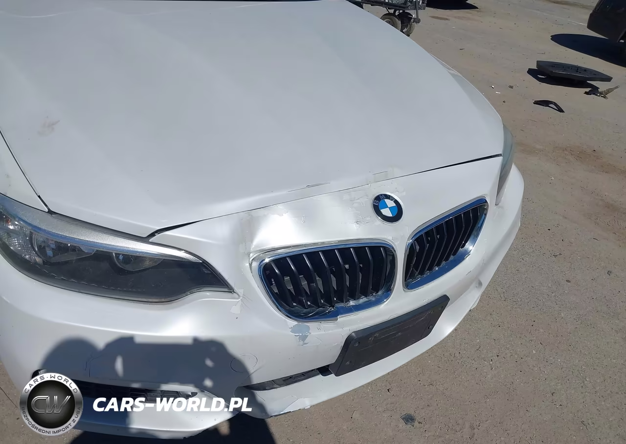 2016 BMW 228I VIN:WBA1K9C56GV322484 - 6
