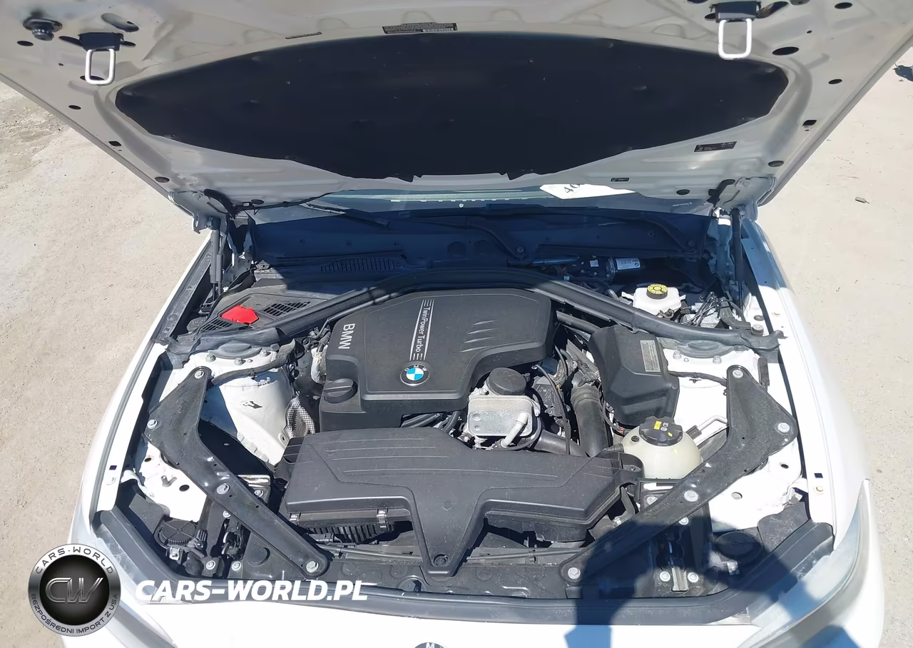 2016 BMW 228I VIN:WBA1K9C56GV322484 - 9