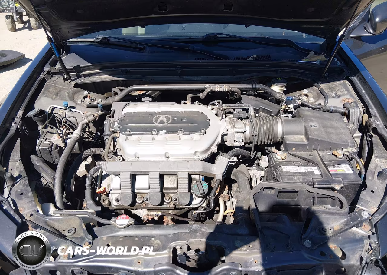 2010 Acura Tl 3.7 VIN:19UUA9F52AA004473 - 10