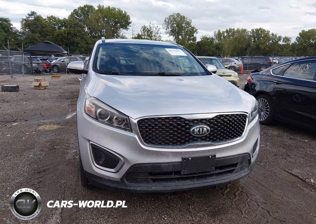 2017 Kia Sorento 2.4L Lx VIN:5XYPGDA3XHG217104 - 13