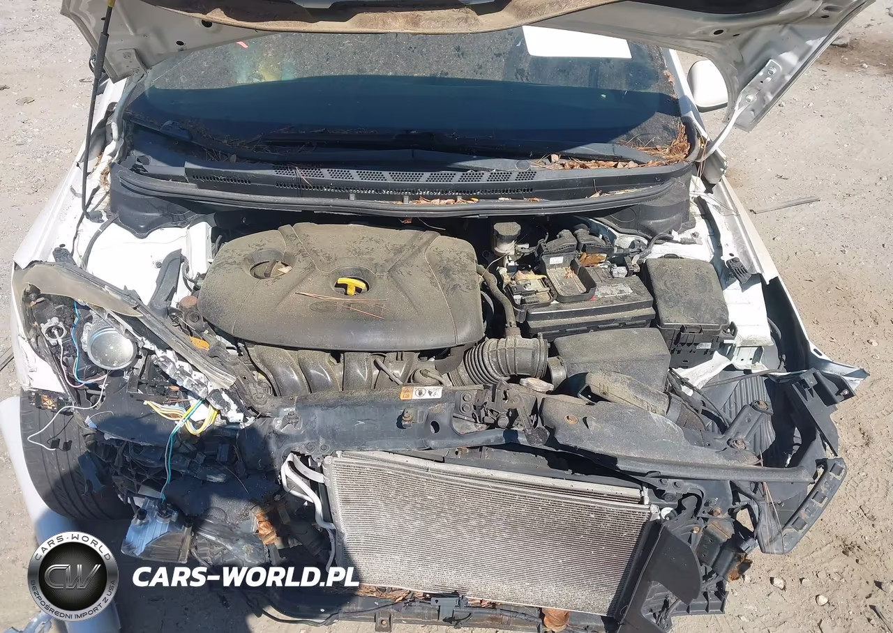 2014 Kia Forte Ex VIN:KNAFX4A83E5194791 - 10