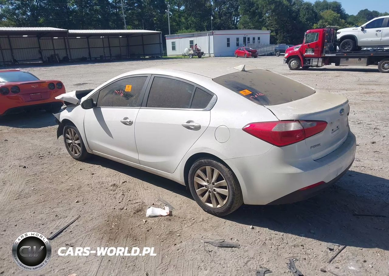 2014 Kia Forte Ex VIN:KNAFX4A83E5194791 - 3