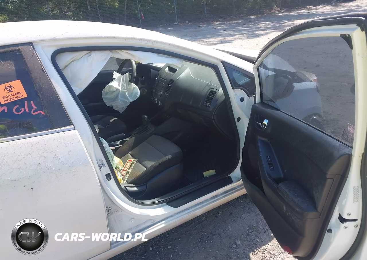 2014 Kia Forte Ex VIN:KNAFX4A83E5194791 - 5