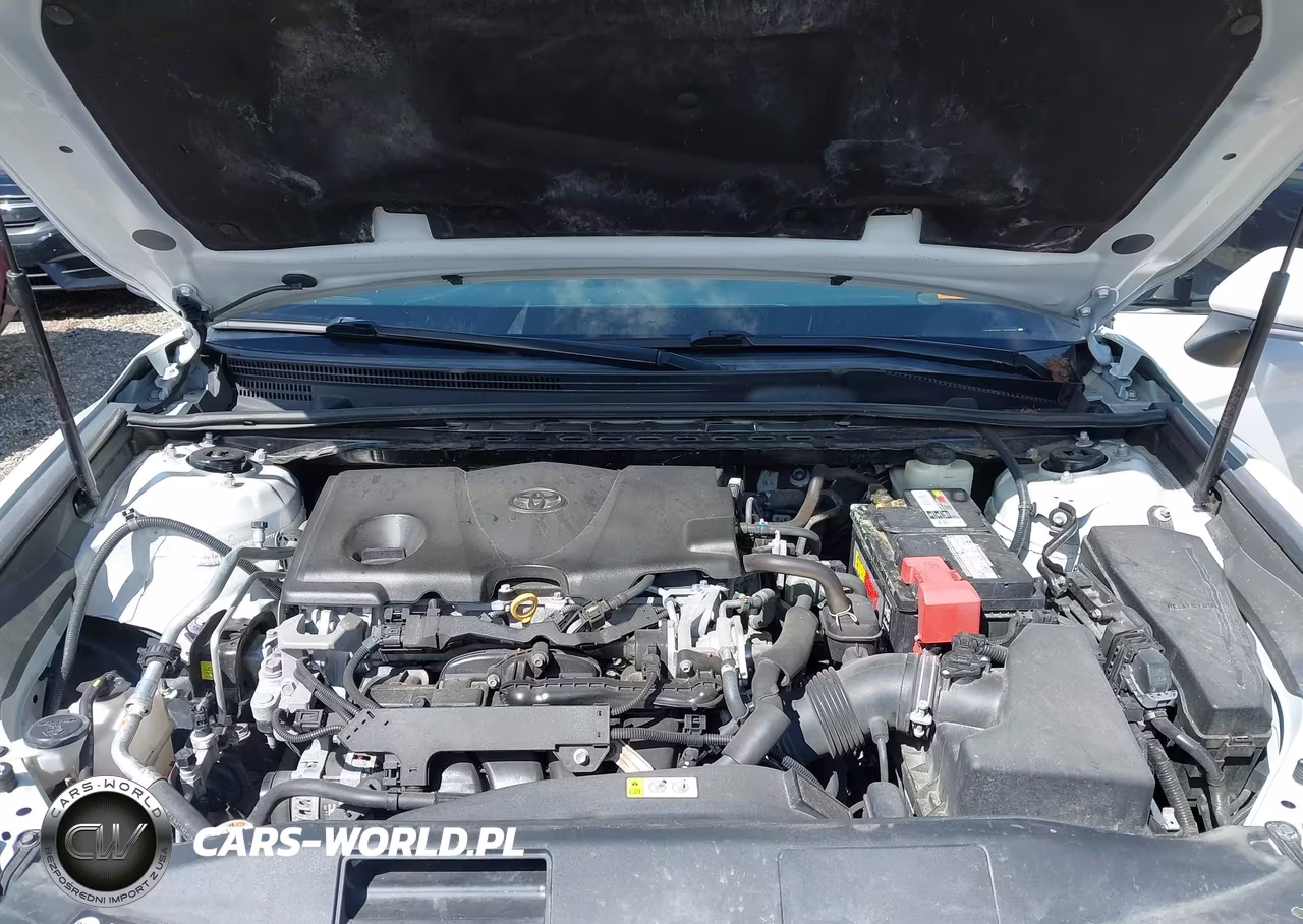 2018 Toyota Camry Xse VIN:4T1B61HK4JU060694 - 10