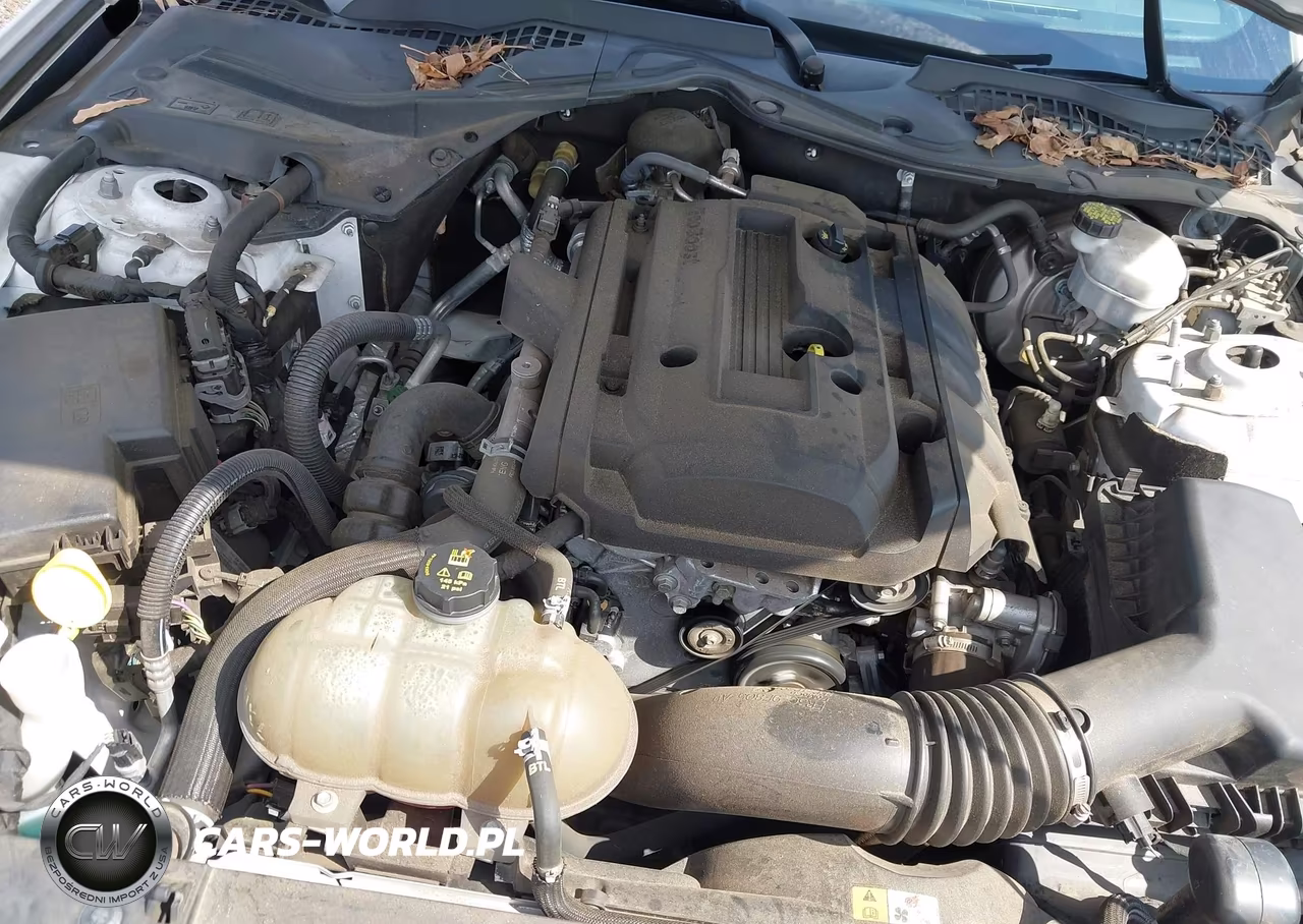 2018 Ford Mustang Ecoboost VIN:1FA6P8THXJ5120923 - 10