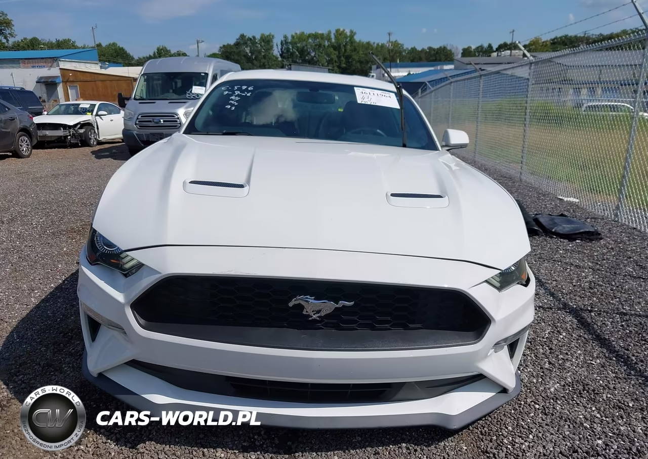 2018 Ford Mustang Ecoboost VIN:1FA6P8THXJ5120923 - 12