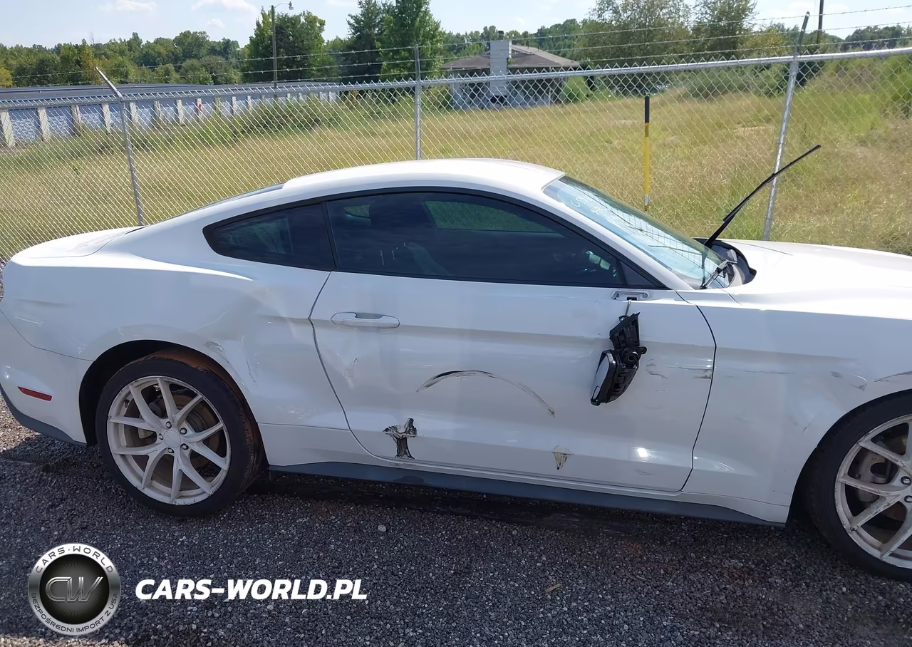 2018 Ford Mustang Ecoboost VIN:1FA6P8THXJ5120923 - 13