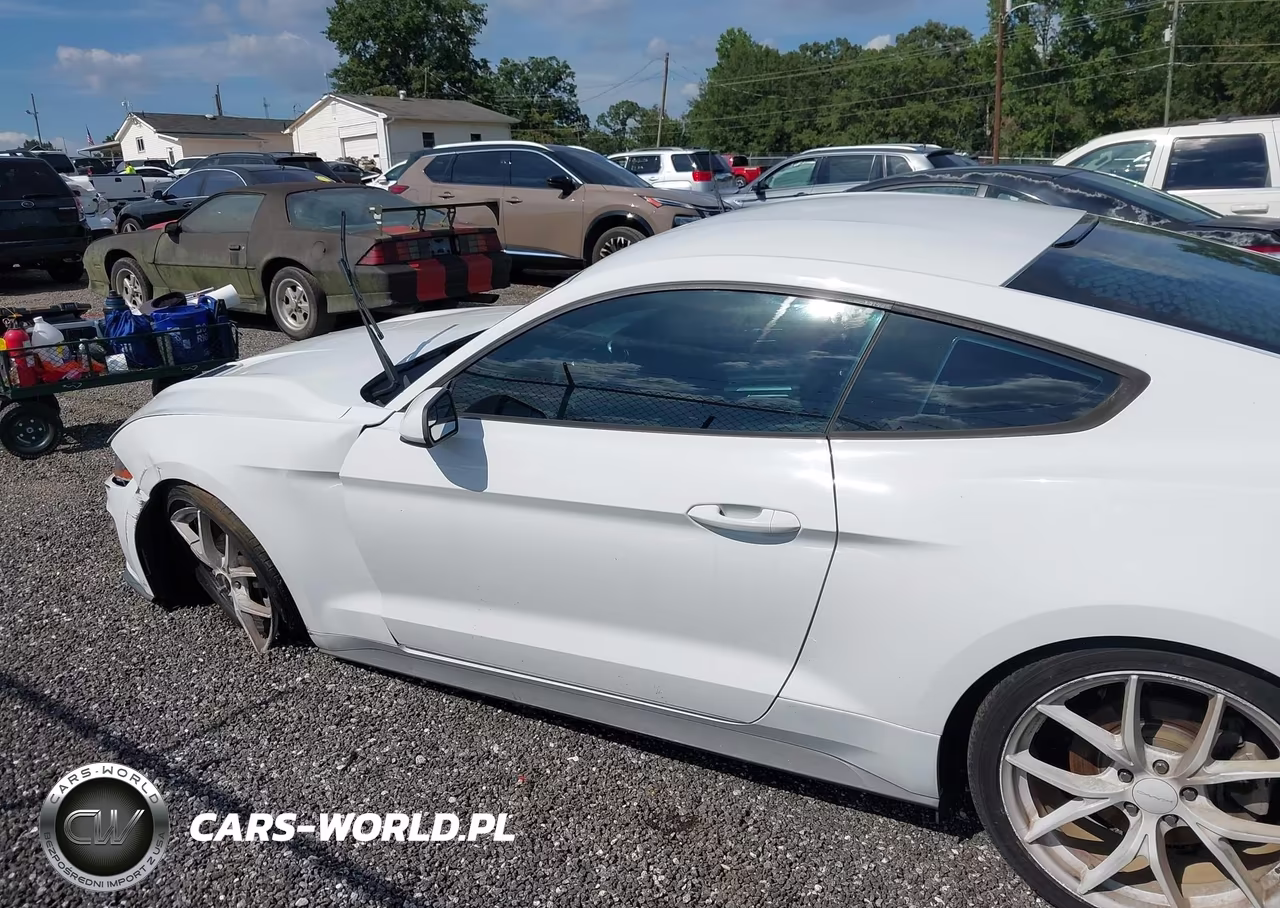 2018 Ford Mustang Ecoboost VIN:1FA6P8THXJ5120923 - 14