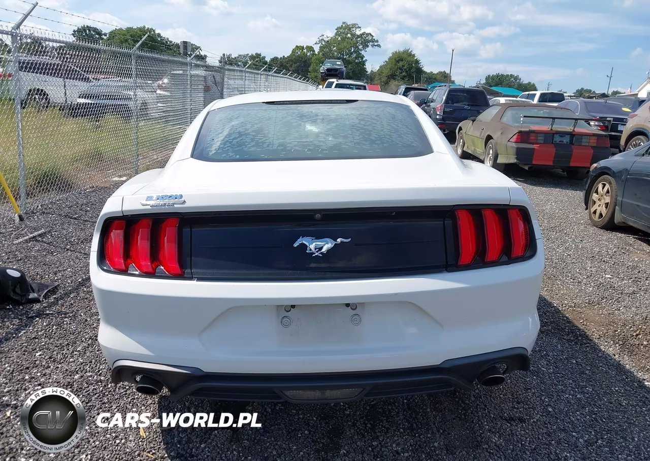2018 Ford Mustang Ecoboost VIN:1FA6P8THXJ5120923 - 16