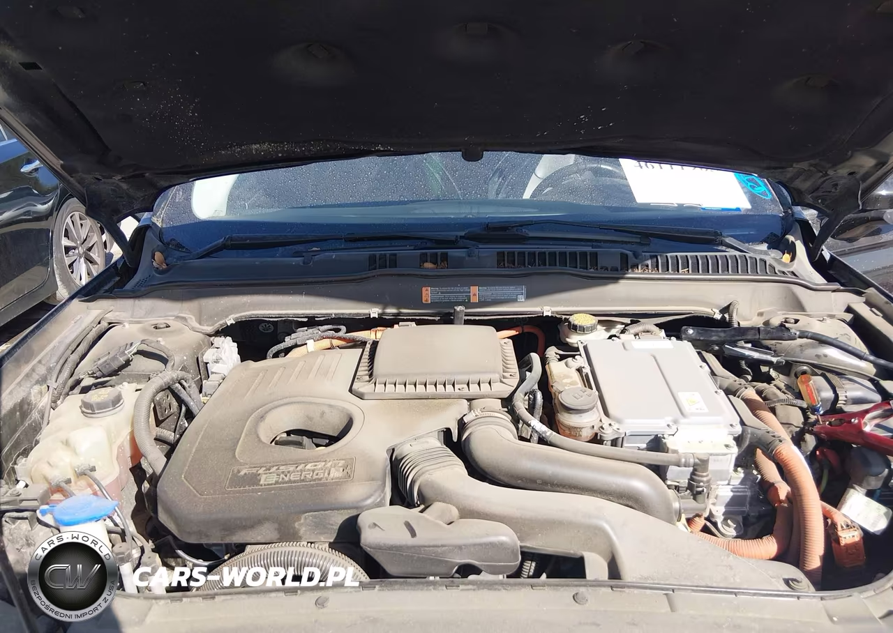 2016 Ford Fusion Energi Titanium VIN:3FA6P0SU4GR134046 - 10
