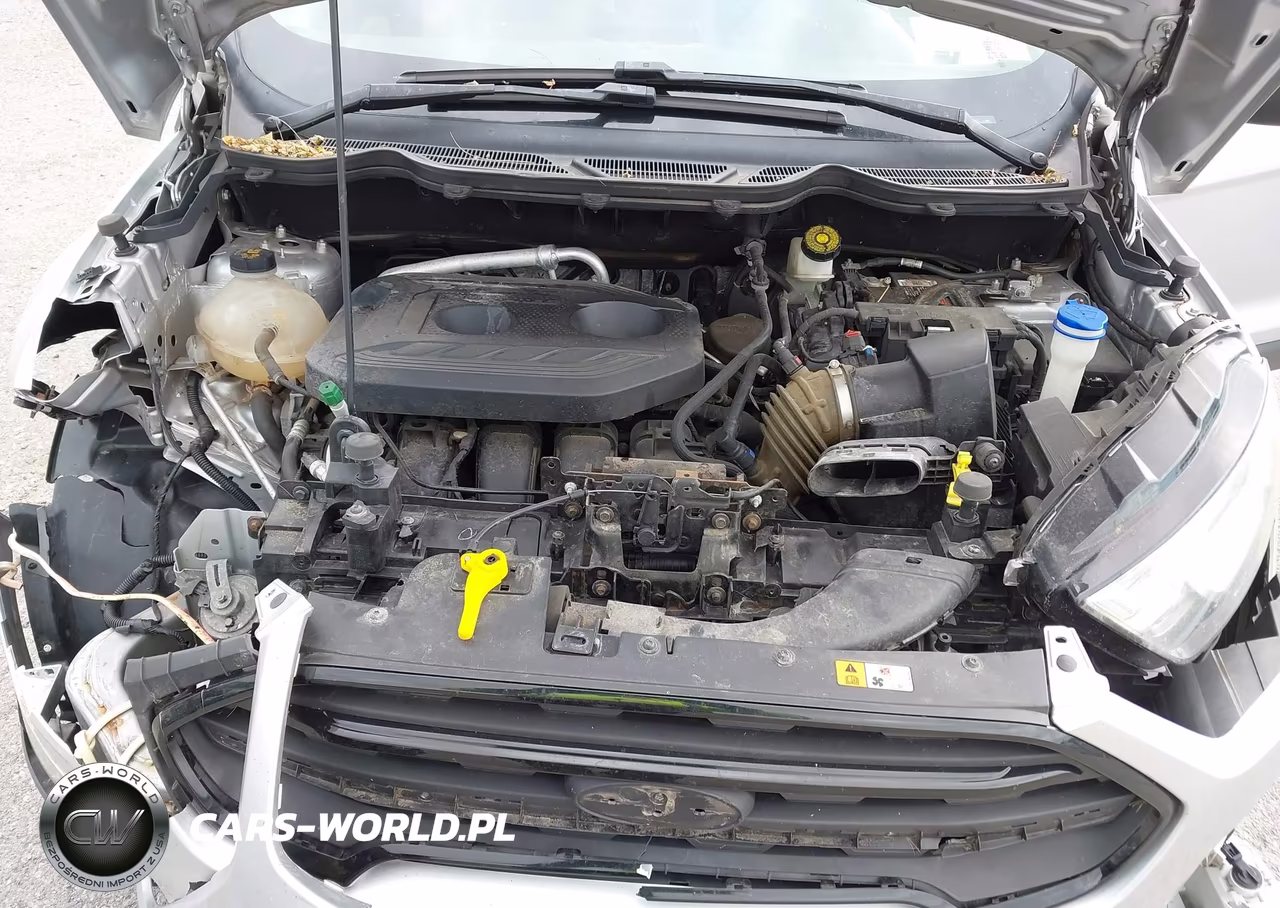 2019 Ford Ecosport S VIN:MAJ6S3FL9KC288177 - 10