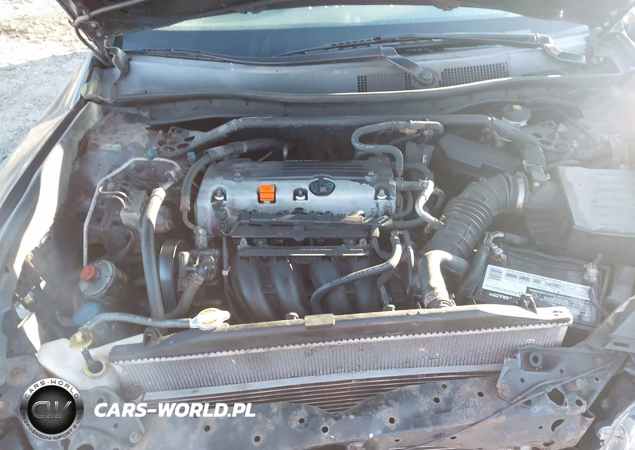 2010 Honda Accord 2.4 Ex VIN:1HGCP2F71AA066465 - 10