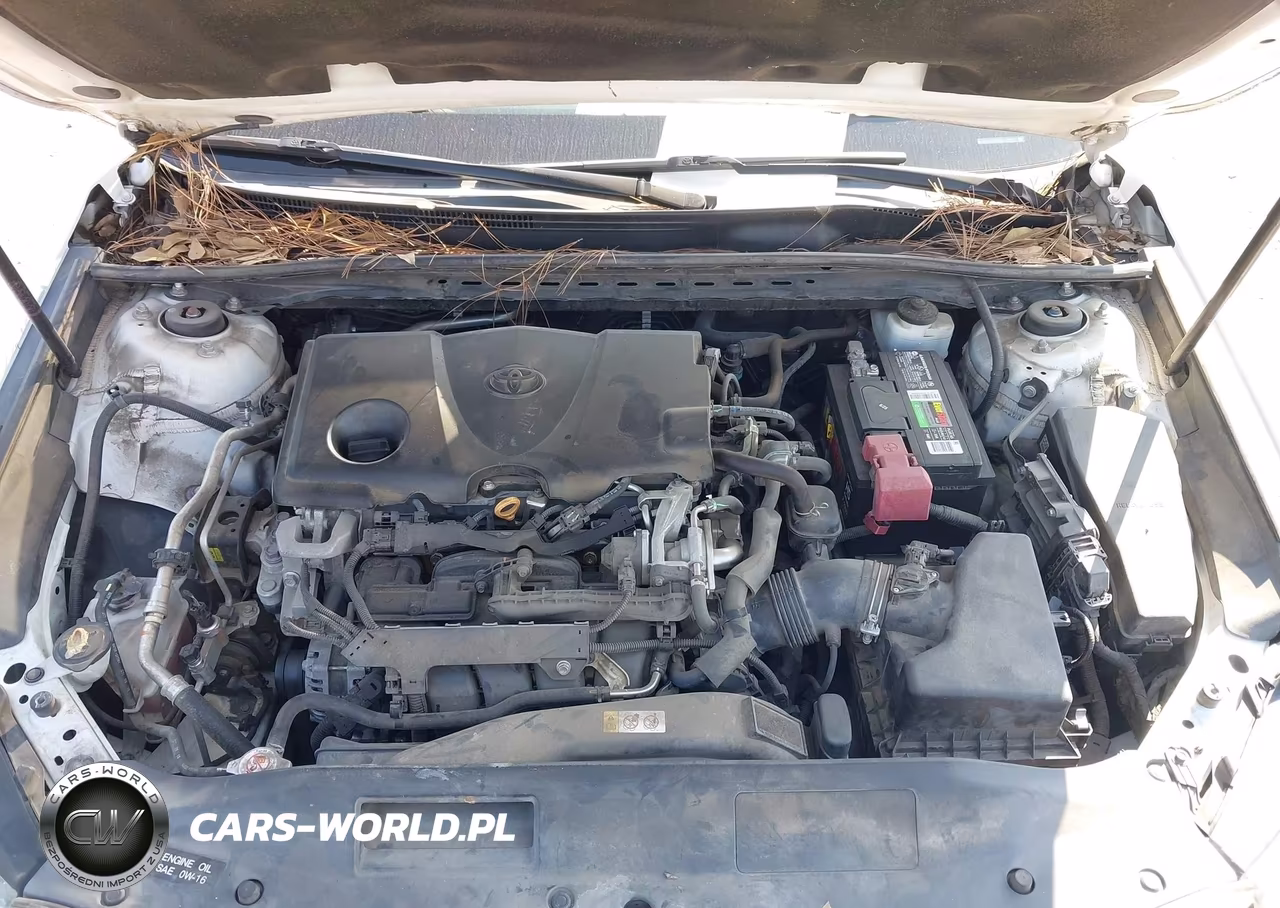 2019 Toyota Camry Le VIN:4T1B11HK1KU173552 - 10