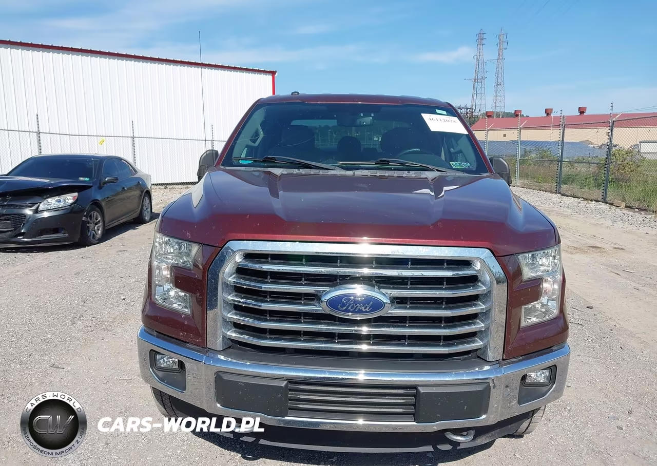 2015 Ford F-150 Xlt VIN:1FTEW1EF4FFC56929 - 12