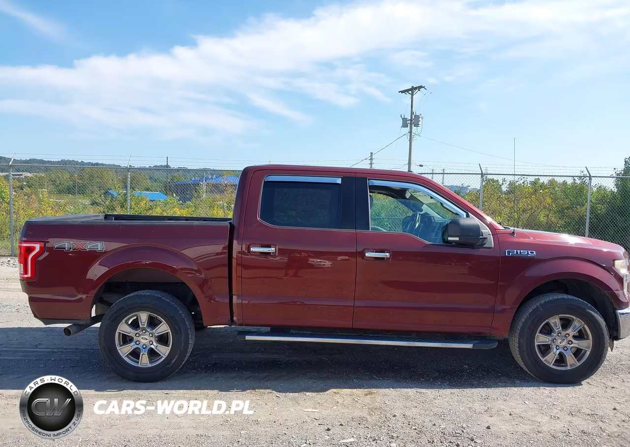 2015 Ford F-150 Xlt VIN:1FTEW1EF4FFC56929 - 13