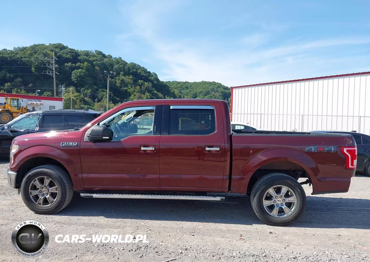2015 Ford F-150 Xlt VIN:1FTEW1EF4FFC56929 - 14