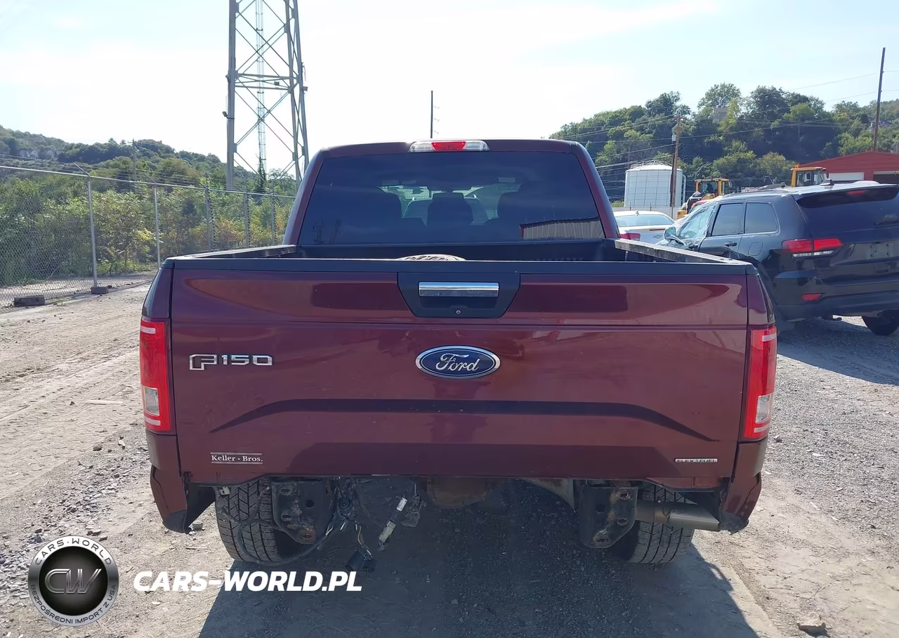 2015 Ford F-150 Xlt VIN:1FTEW1EF4FFC56929 - 16