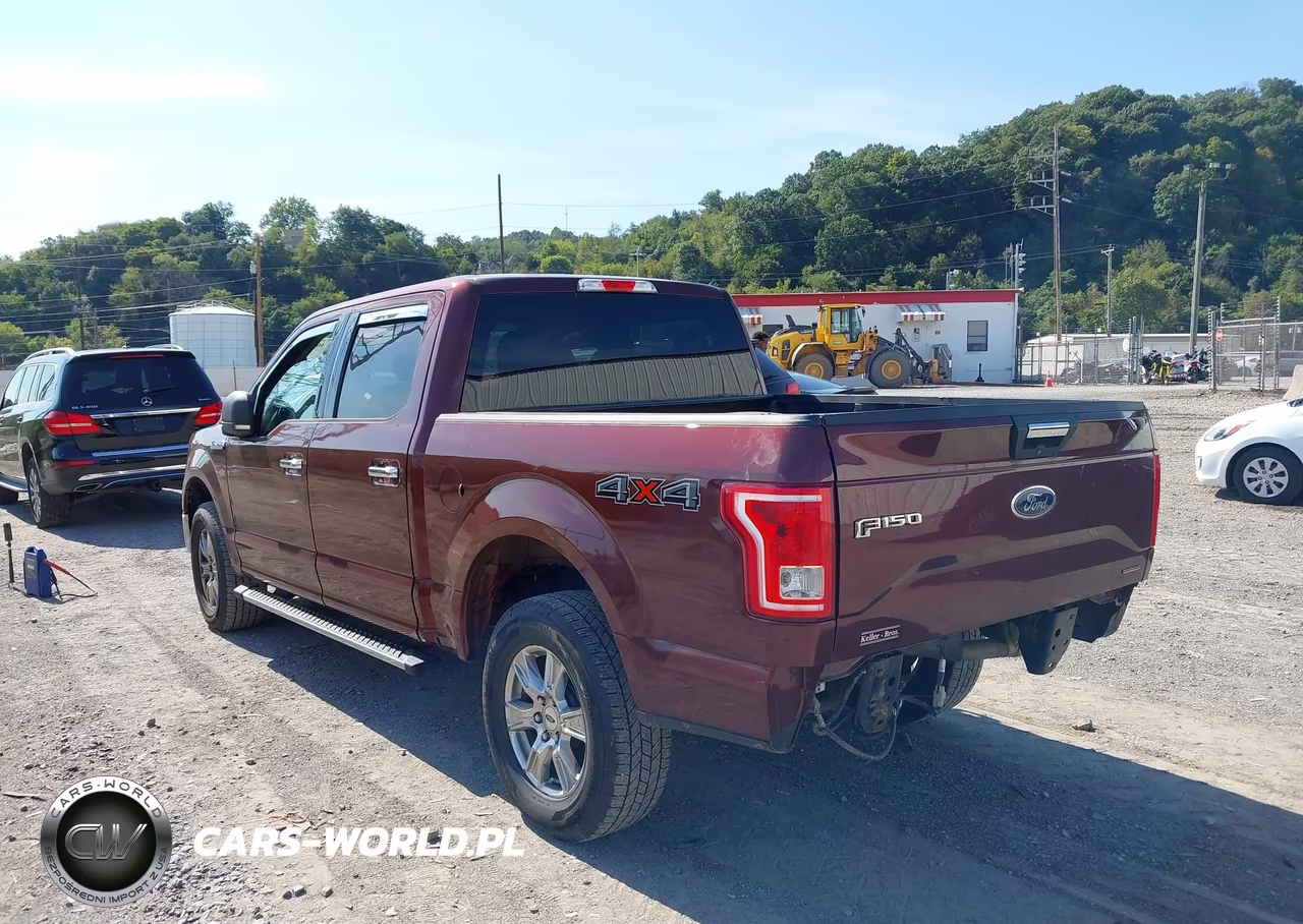 2015 Ford F-150 Xlt VIN:1FTEW1EF4FFC56929 - 3