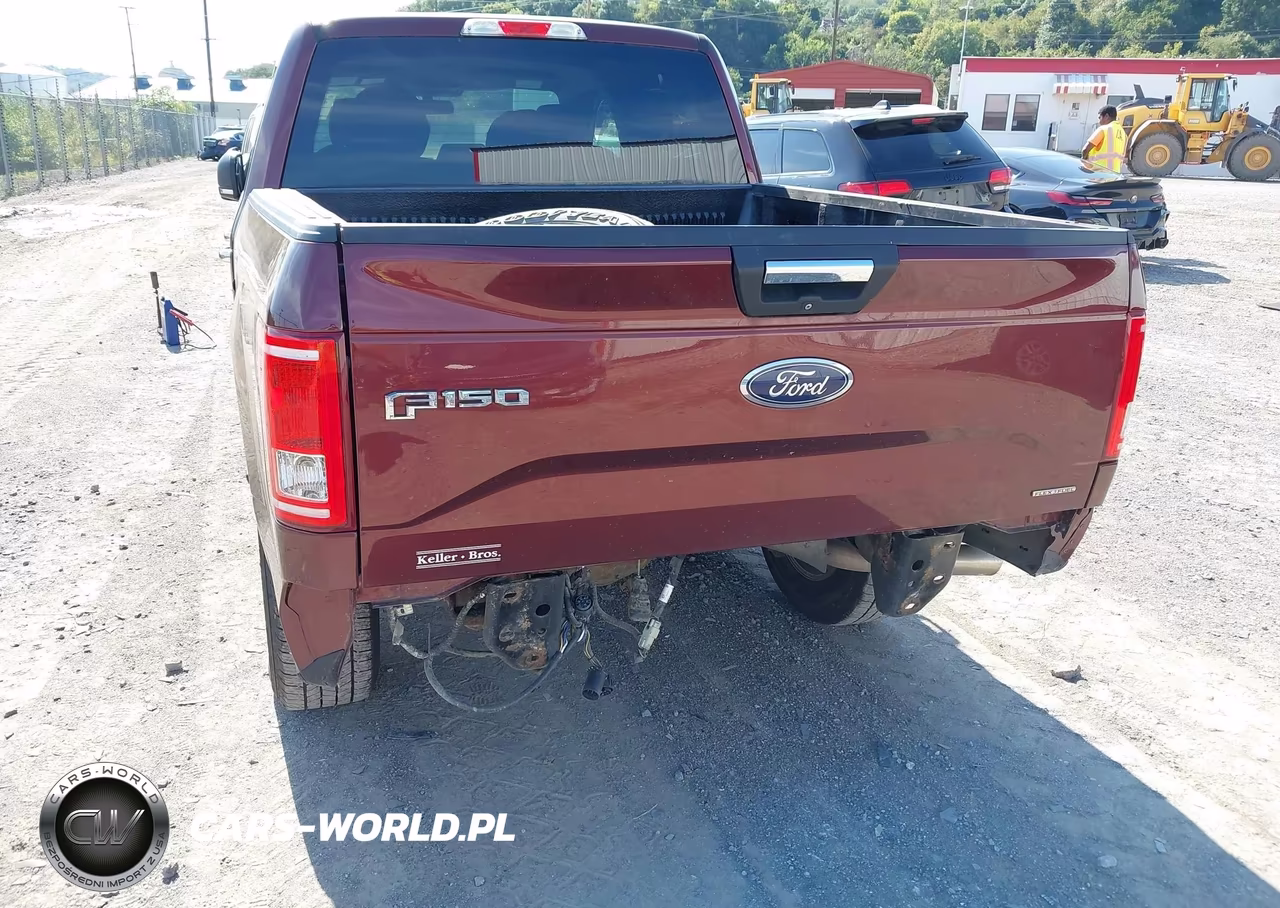 2015 Ford F-150 Xlt VIN:1FTEW1EF4FFC56929 - 6