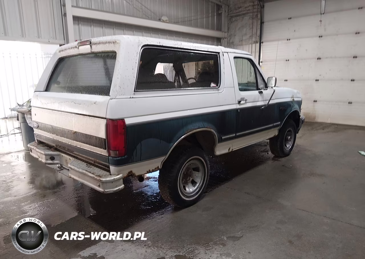 1993 Ford Bronco U100 VIN:1FMEU15N4PLA25427 - 4