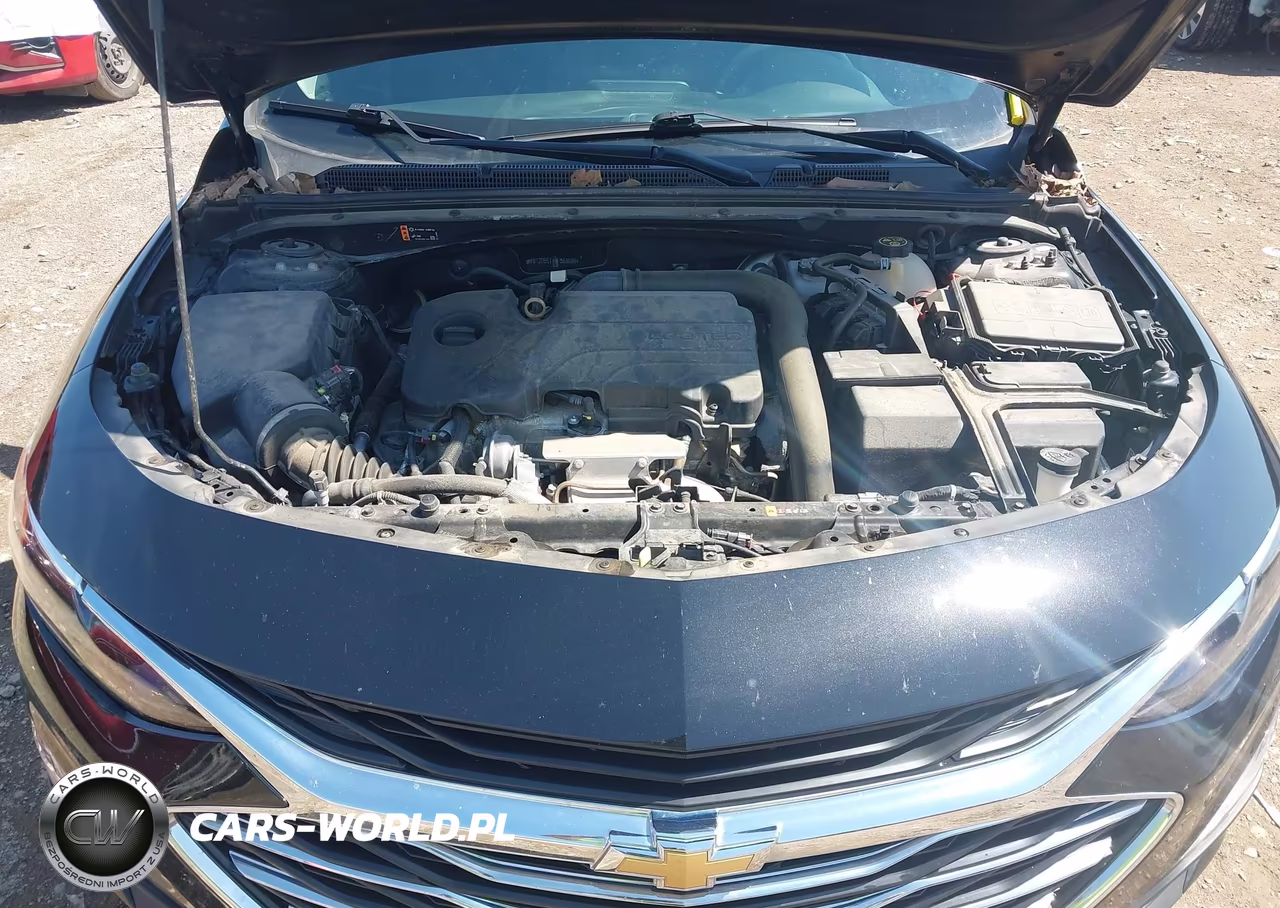 2021 Chevrolet Malibu Fwd Lt VIN:1G1ZD5ST1MF083689 - 10