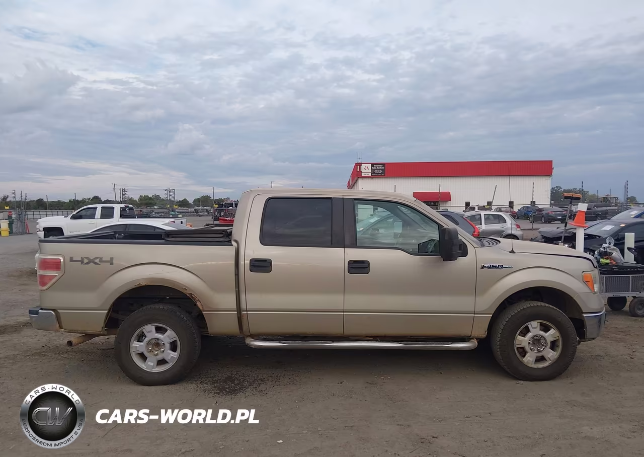 2010 Ford F-150 Fx4-Harley-Davidson-King Ranch-Lariat-Platinum-Xl-Xlt VIN:1FTFW1EV2AKE07956 - 13
