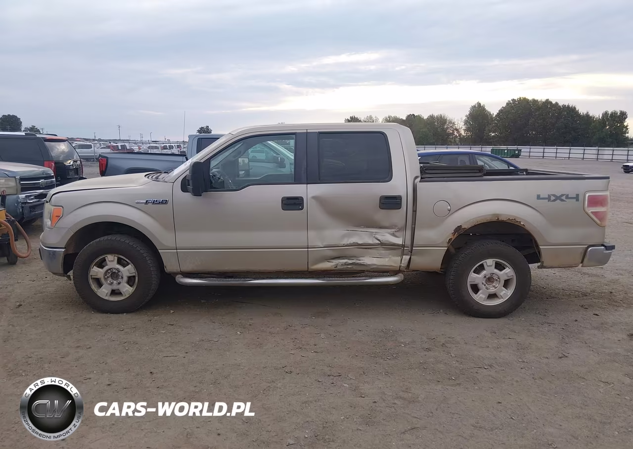 2010 Ford F-150 Fx4-Harley-Davidson-King Ranch-Lariat-Platinum-Xl-Xlt VIN:1FTFW1EV2AKE07956 - 14