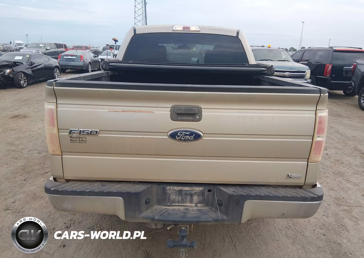 2010 Ford F-150 Fx4-Harley-Davidson-King Ranch-Lariat-Platinum-Xl-Xlt VIN:1FTFW1EV2AKE07956 - 16
