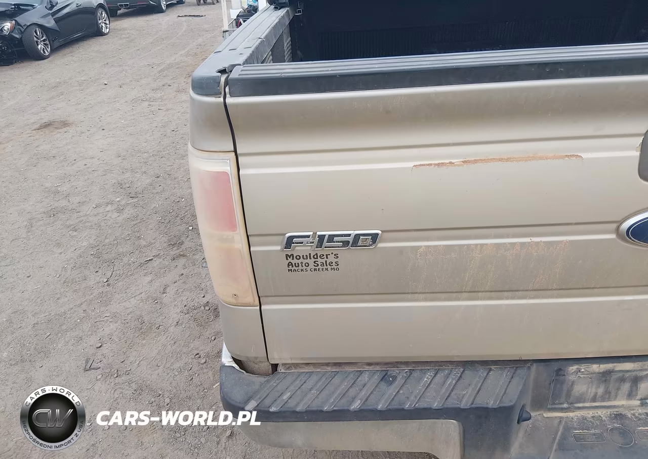 2010 Ford F-150 Fx4-Harley-Davidson-King Ranch-Lariat-Platinum-Xl-Xlt VIN:1FTFW1EV2AKE07956 - 19