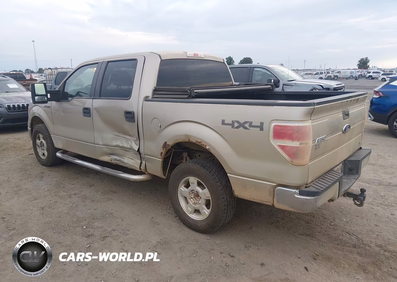 2010 Ford F-150 Fx4-Harley-Davidson-King Ranch-Lariat-Platinum-Xl-Xlt VIN:1FTFW1EV2AKE07956 - 3