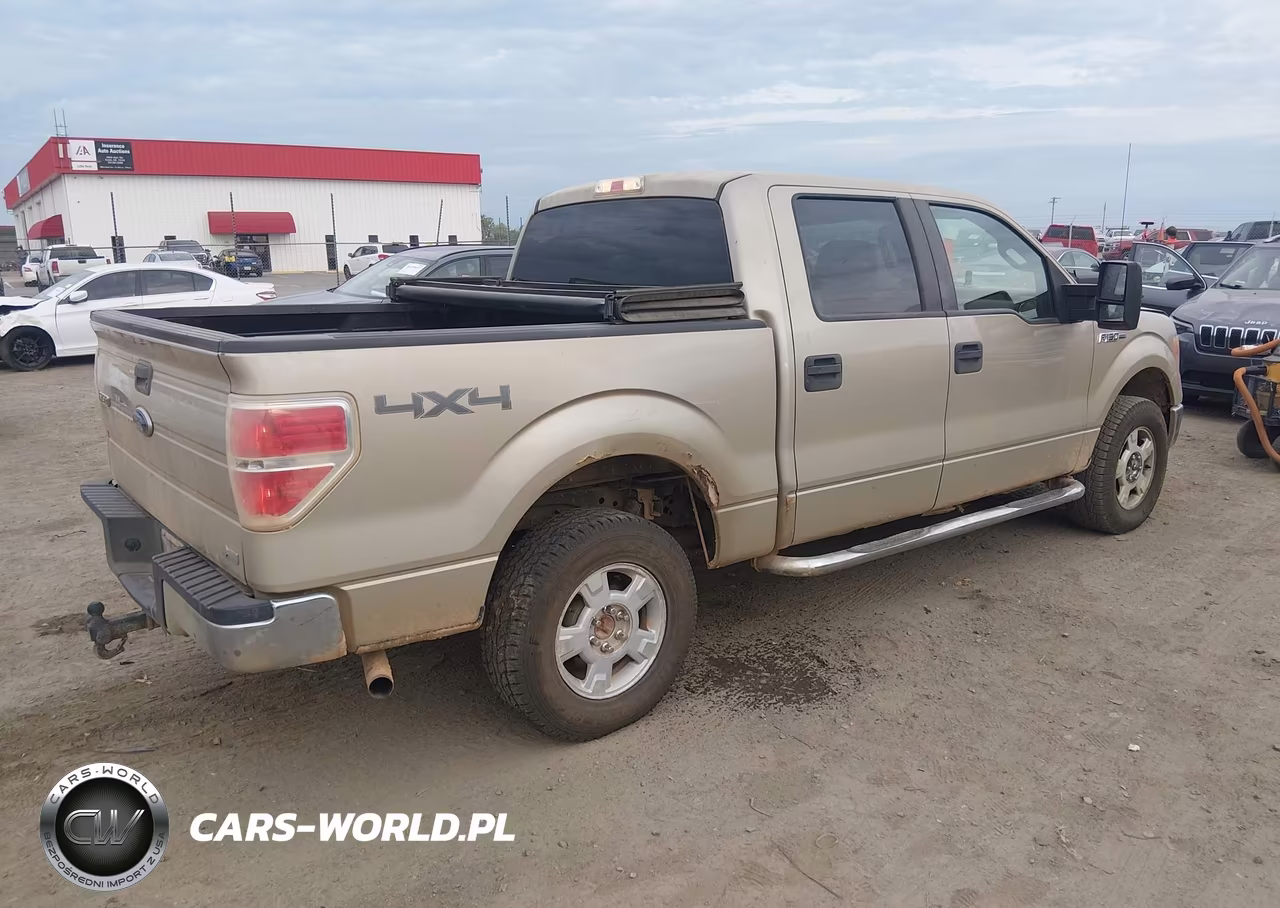 2010 Ford F-150 Fx4-Harley-Davidson-King Ranch-Lariat-Platinum-Xl-Xlt VIN:1FTFW1EV2AKE07956 - 4