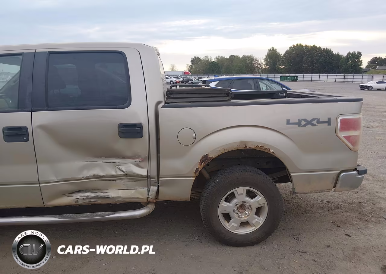 2010 Ford F-150 Fx4-Harley-Davidson-King Ranch-Lariat-Platinum-Xl-Xlt VIN:1FTFW1EV2AKE07956 - 6
