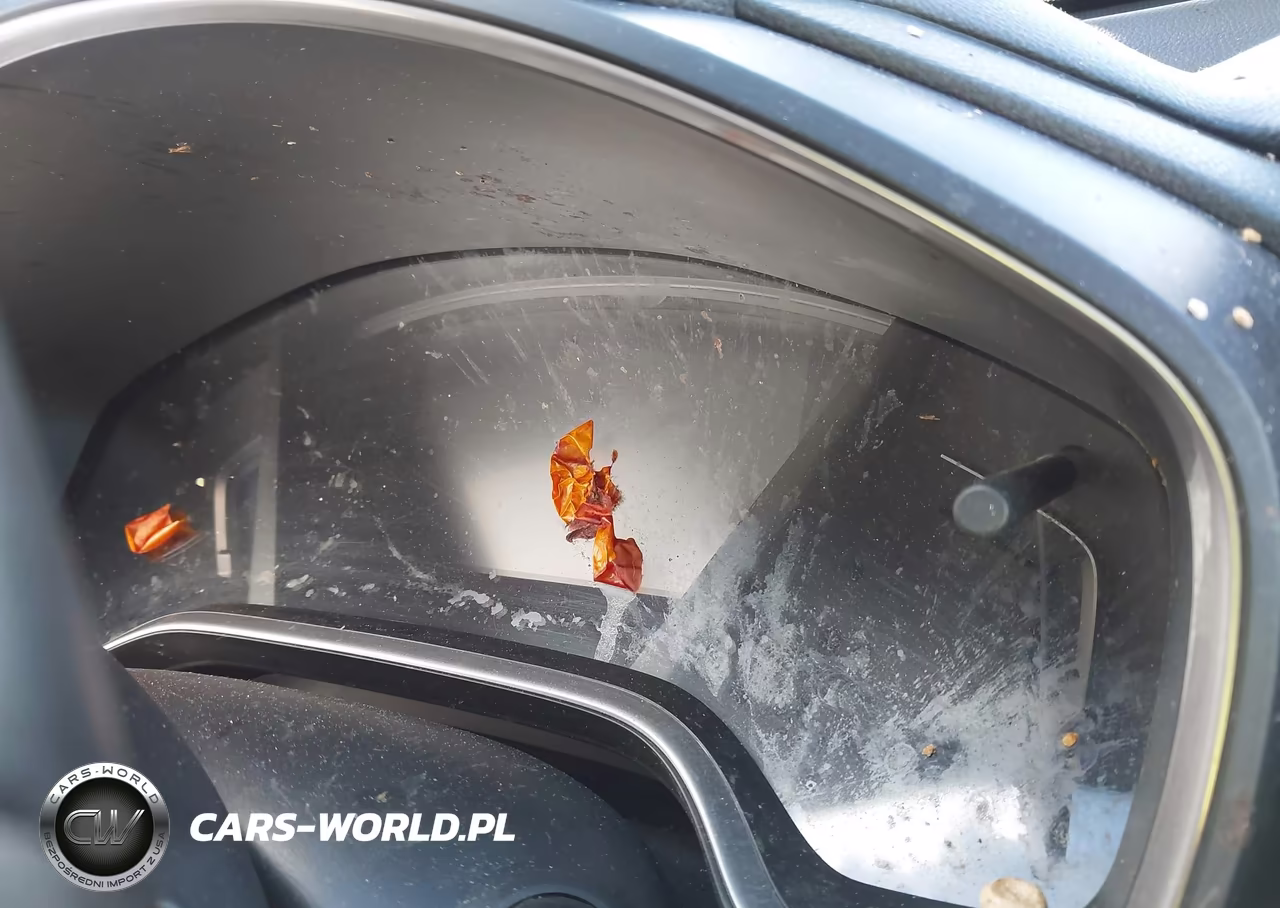 2019 Honda Cr-V Ex-L VIN:5J6RW2H81KA000348 - 7