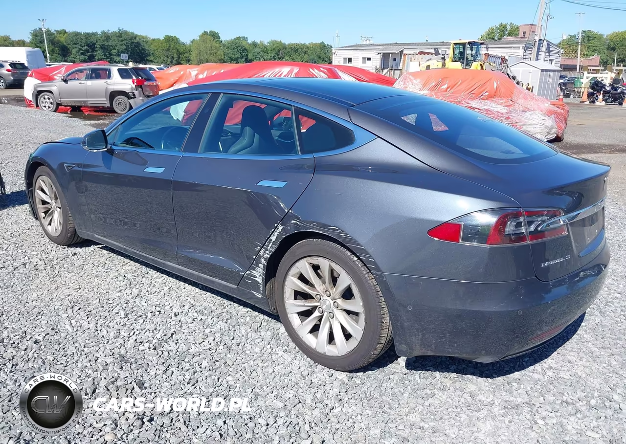 2016 Tesla Model S 60D-70D-75D-85D-90D VIN:5YJSA1E22GF170426 - 19