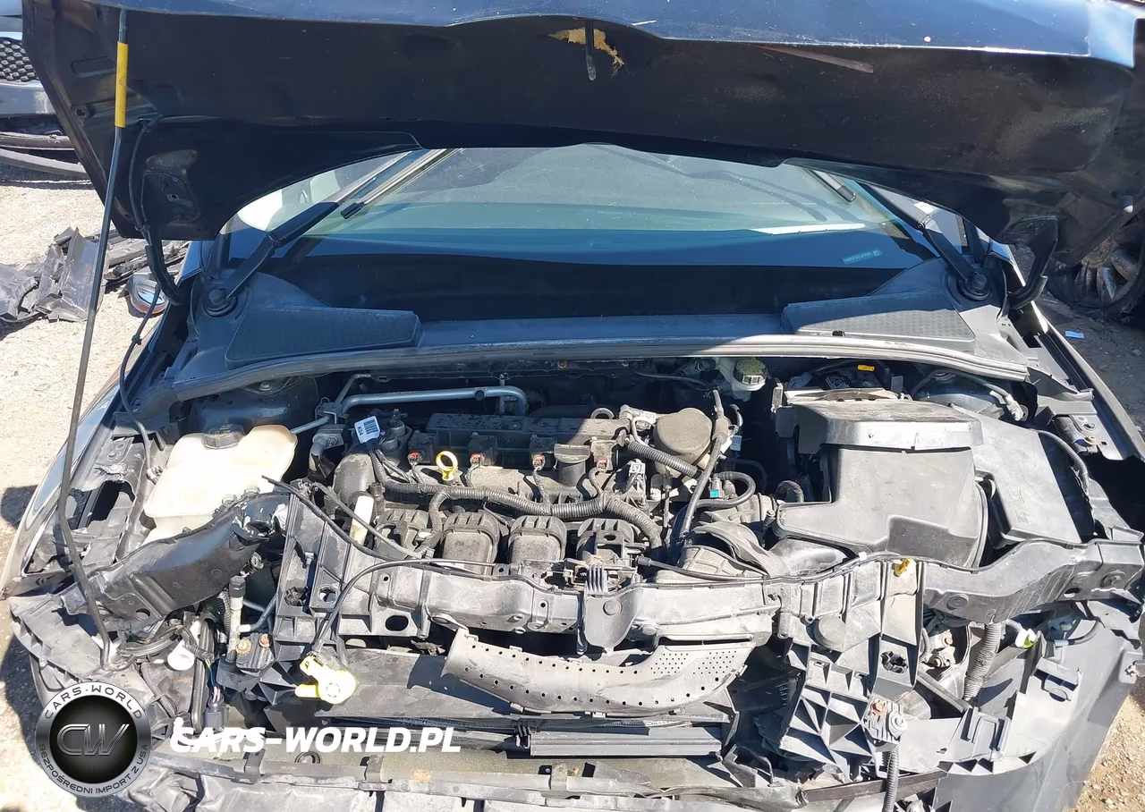 2014 Ford Focus Se VIN:1FADP3F22EL347526 - 10