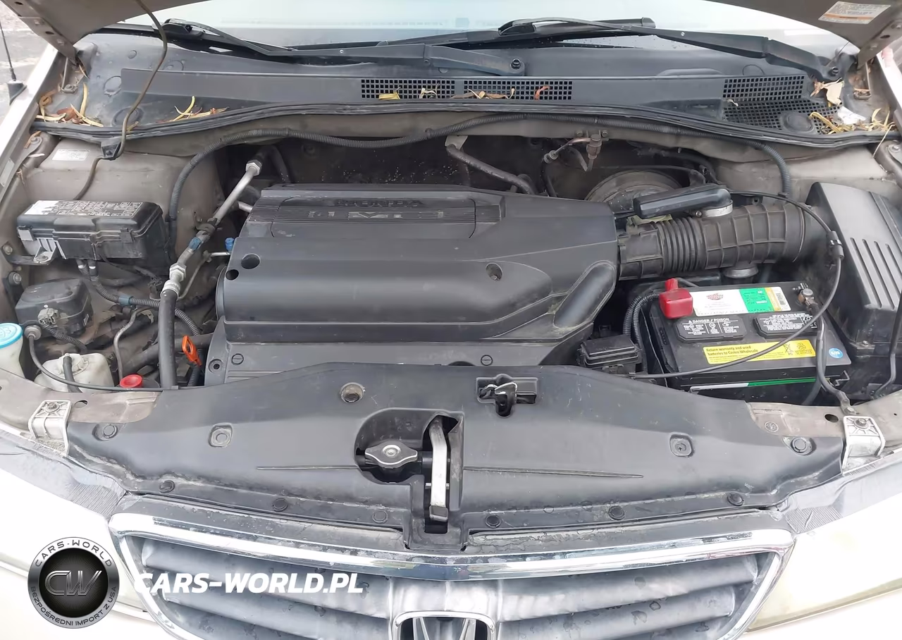 2004 Honda Odyssey Ex VIN:5FNRL188X4B139803 - 10