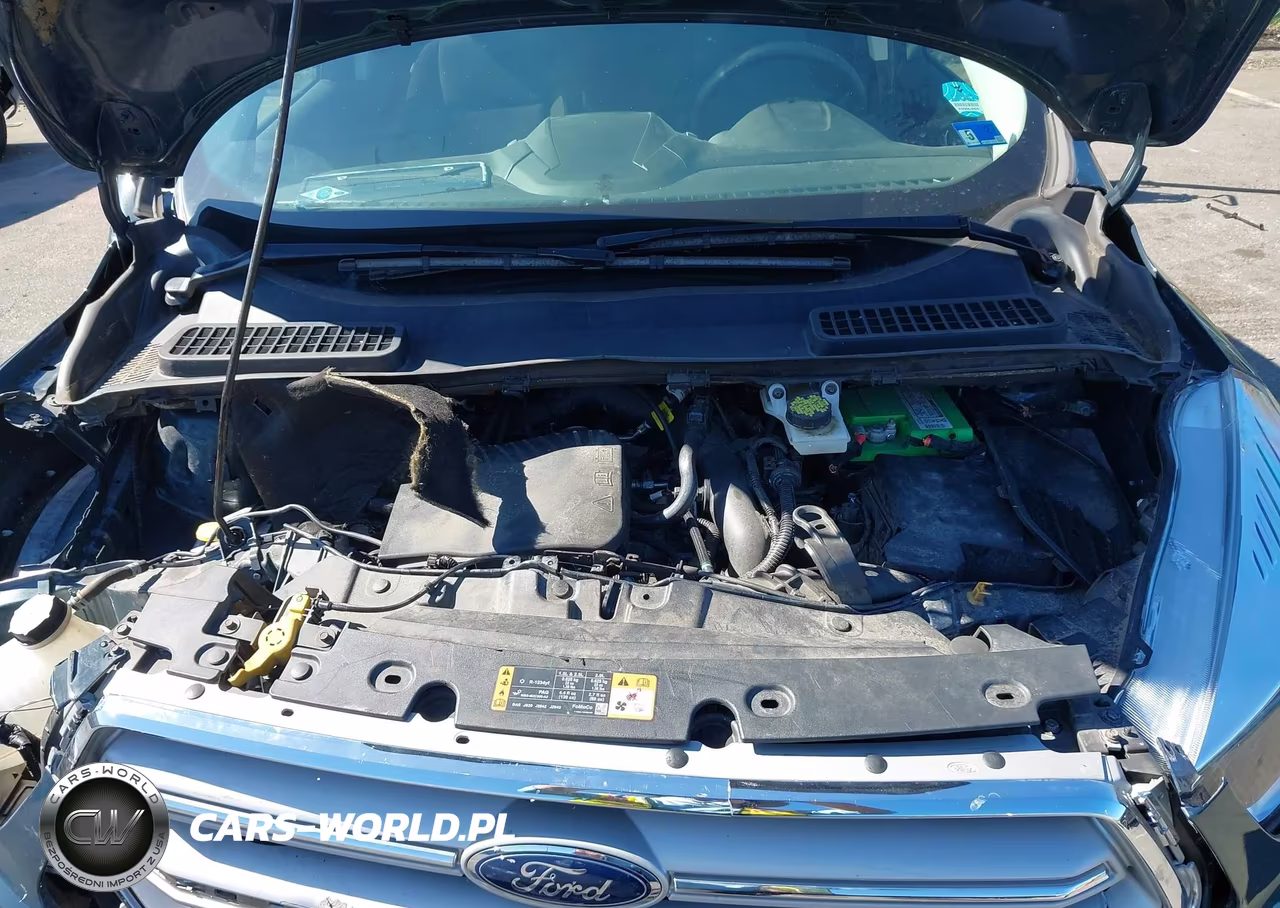 2019 Ford Escape Se VIN:1FMCU9GD2KUA10017 - 10